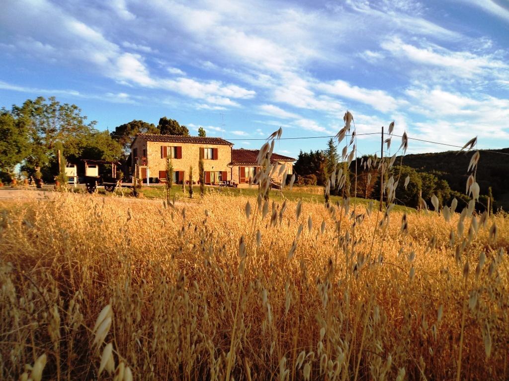 San Fedele Alloggi Siena Esterno foto